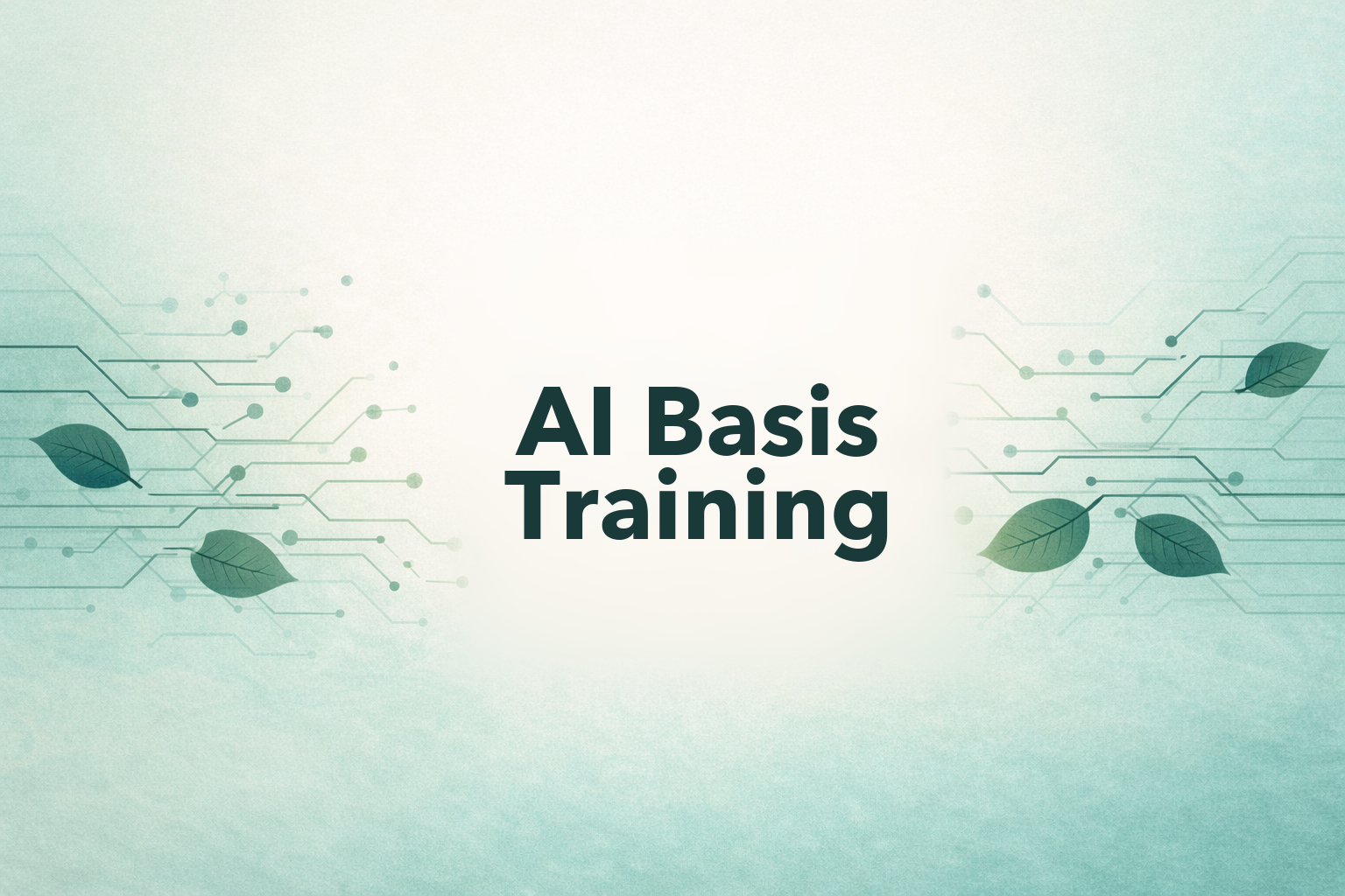 AI Basis training